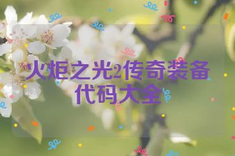 火炬之光2传奇装备代码大全