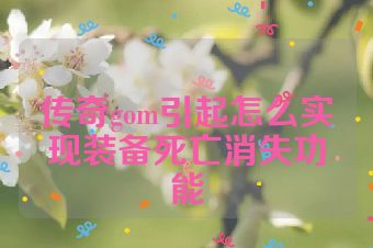 传奇gom引起怎么实现装备死亡消失功能