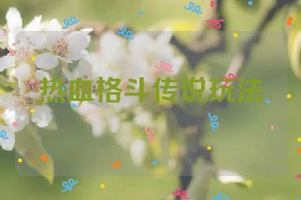 热血格斗传说玩法