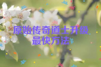 原始传奇道士升级最快方法