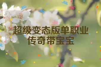 超级变态版单职业传奇带宝宝