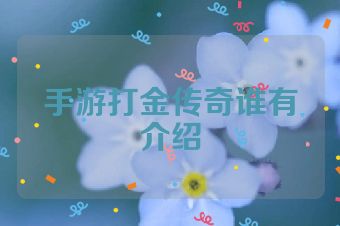 手游打金传奇谁有介绍