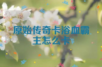 原始传奇卡浴血霸主怎么卡
