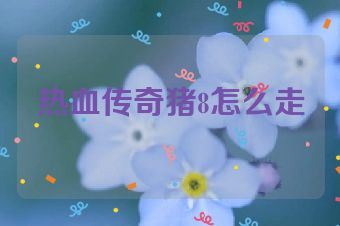 热血传奇猪8怎么走
