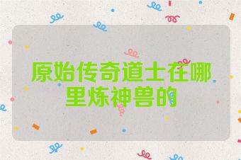 原始传奇道士在哪里炼神兽的