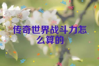传奇世界战斗力怎么算的