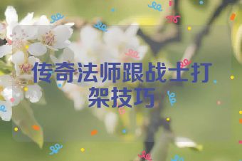 传奇法师跟战士打架技巧
