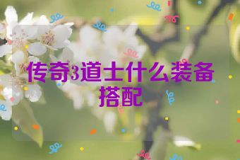 传奇3道士什么装备搭配