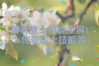 传奇战士技能全屏176传奇战士技能等级