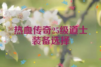 热血传奇25级道士装备选择