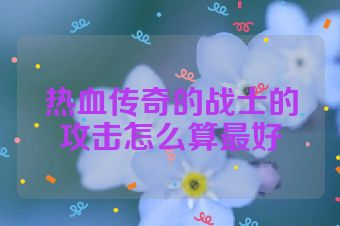 热血传奇的战士的攻击怎么算最好