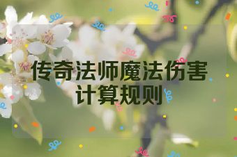 传奇法师魔法伤害计算规则