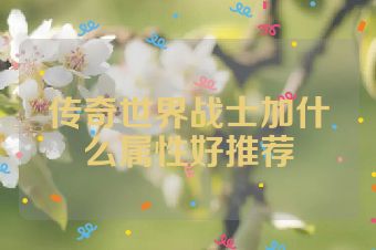 传奇世界战士加什么属性好推荐