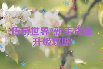 传奇世界2新手快速升级攻略