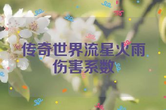 传奇世界流星火雨伤害系数