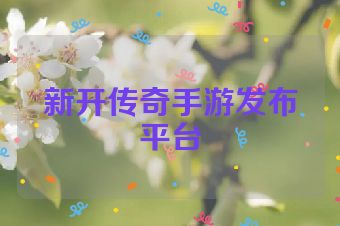 新开传奇手游发布平台