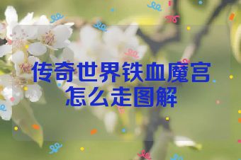 传奇世界铁血魔宫怎么走图解