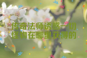 传奇法师诱惑一切怪物在哪里获得的