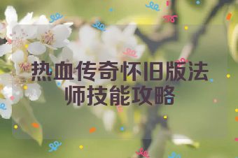 热血传奇怀旧版法师技能攻略