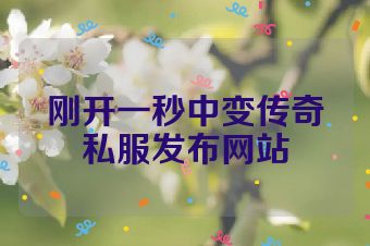 刚开一秒中变传奇私服发布网站