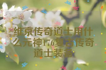 维京传奇道士用什么元神176复古传奇道士装备