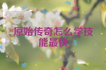 原始传奇怎么学技能最快