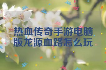 热血传奇手游电脑版龙源血路怎么玩