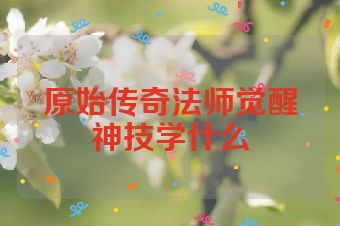 原始传奇法师觉醒神技学什么