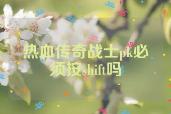 热血传奇战士pk必须按shift吗