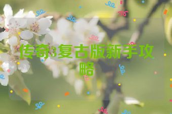 传奇3复古版新手攻略