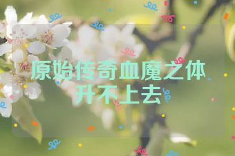 原始传奇血魔之体升不上去