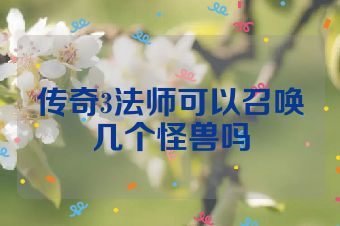 传奇3法师可以召唤几个怪兽吗