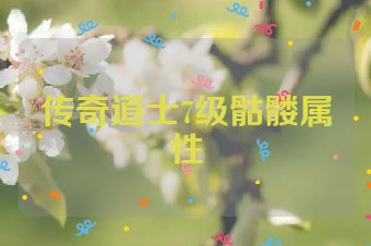 传奇道士7级骷髅属性