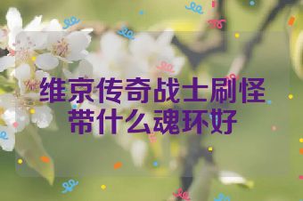 维京传奇战士刷怪带什么魂环好