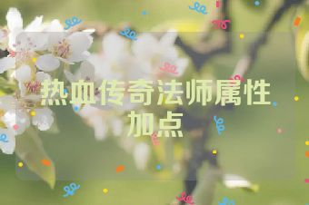 热血传奇法师属性加点