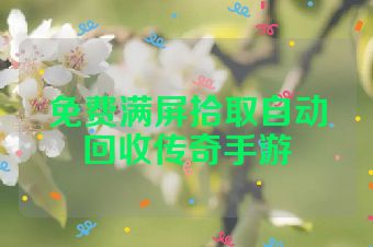 免费满屏拾取自动回收传奇手游
