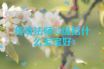 传奇法师35级招什么宝宝好