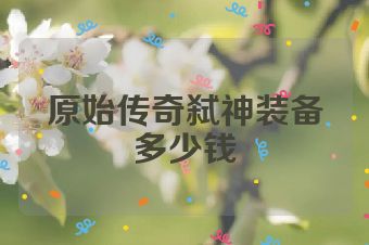 原始传奇弑神装备多少钱