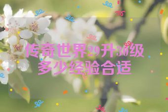 传奇世界29升30级多少经验合适