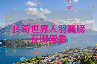 传奇世界人羽翼膀在哪里看