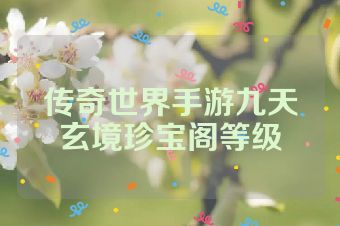 传奇世界手游九天玄境珍宝阁等级
