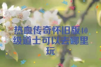 热血传奇怀旧版40级道士可以去哪里玩