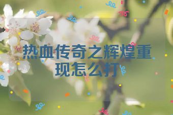 热血传奇之辉煌重现怎么打
