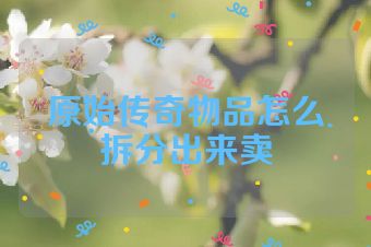 原始传奇物品怎么拆分出来卖