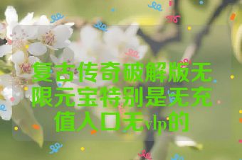 复古传奇破解版无限元宝特别是无充值入口无vlp的
