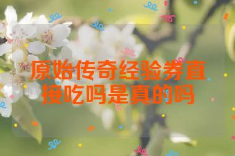 原始传奇经验券直接吃吗是真的吗