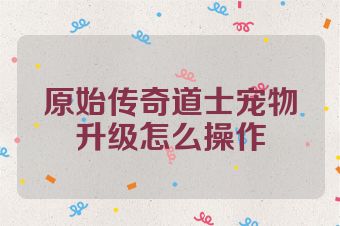 原始传奇道士宠物升级怎么操作