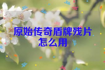 原始传奇盾牌残片怎么用