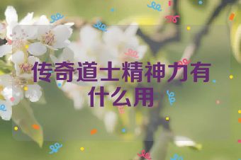 传奇道士精神力有什么用