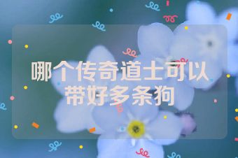 哪个传奇道士可以带好多条狗